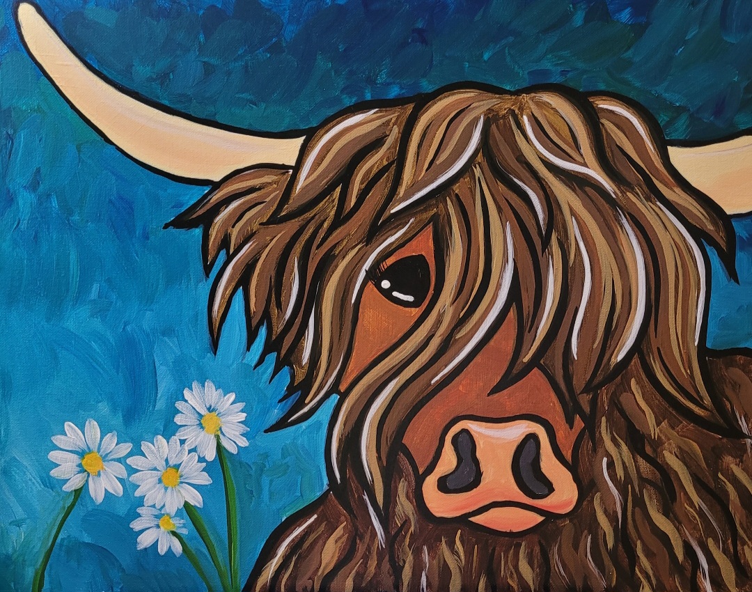 Highland Coo